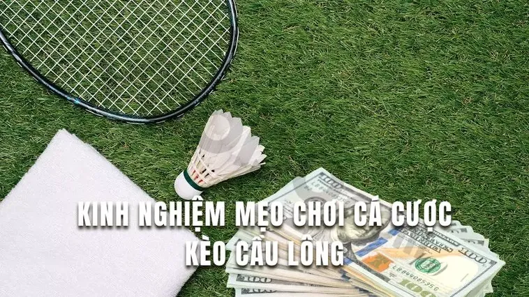 Cách Chơi Cá Cược Cầu Lông Tại BetVision: Hướng Dẫn Chi Tiết 2 Cách Chơi Cá Cược Cầu Lông Tại BetVision: Hướng Dẫn Chi Tiết